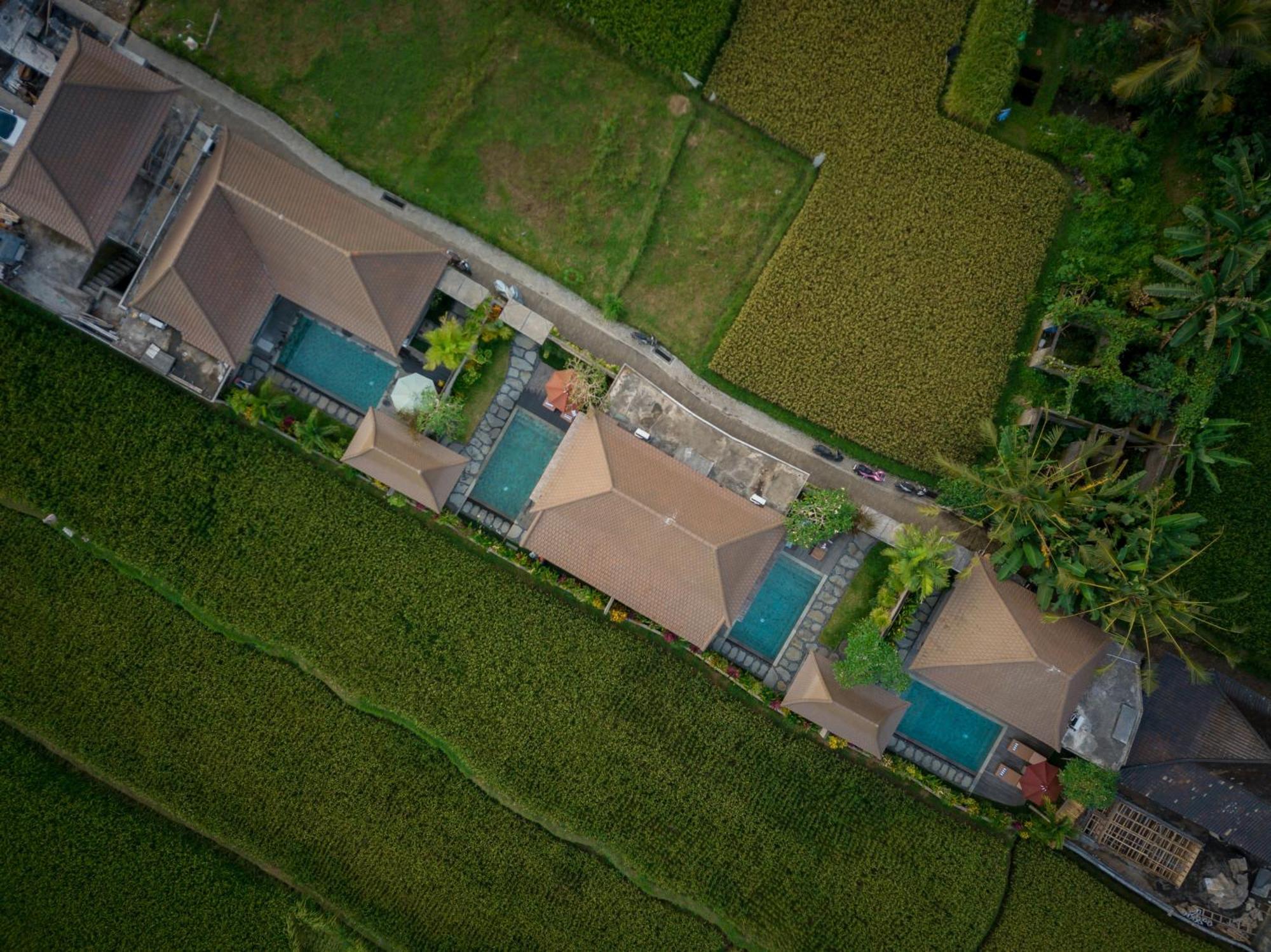 Happy Honeymoon Private Villa Ubud Exterior foto